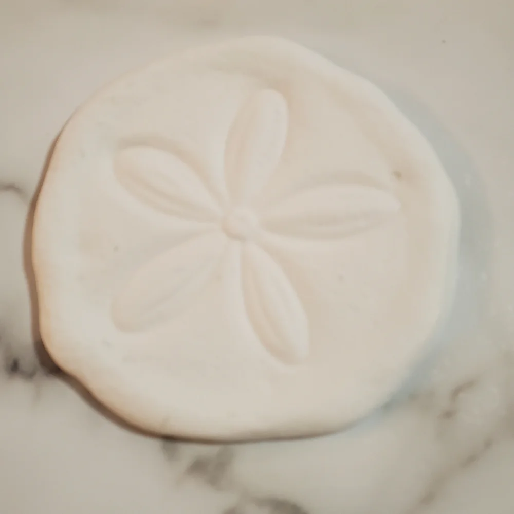 Kohls sand dollar
